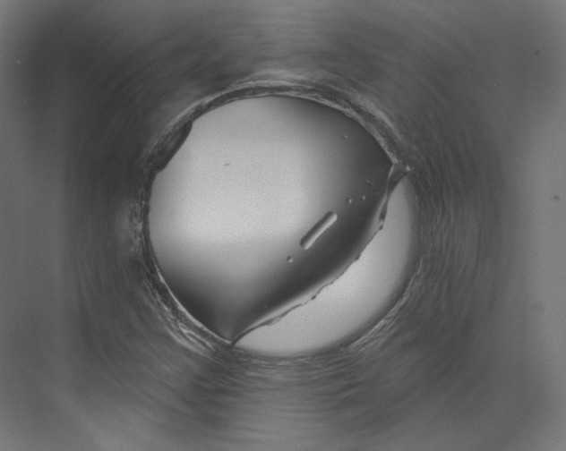 X0000073851355200609071556