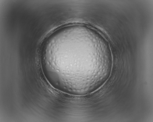 X0000073851359200609071556