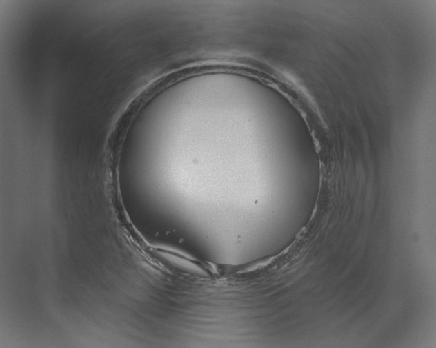 X0000073851360200609071556