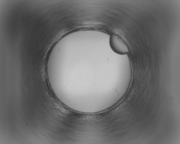 X0000073851362200609071556