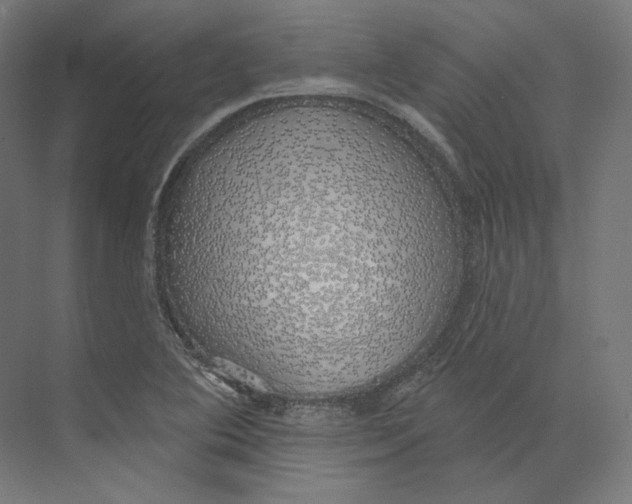 X0000073851364200609071556