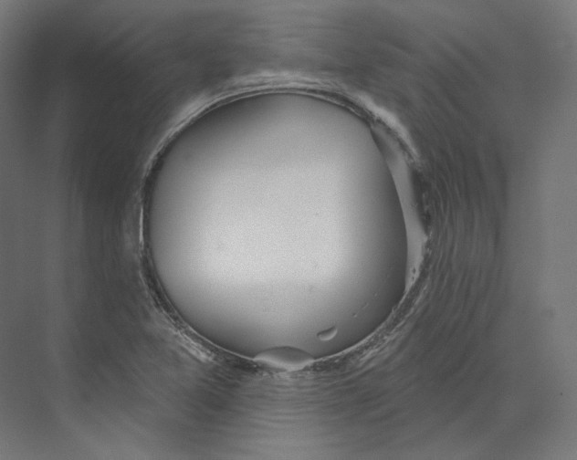 X0000073851365200609071556