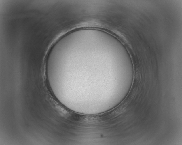 X0000073851366200609071556