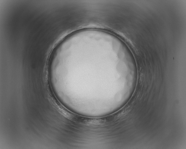 X0000073851367200609071556