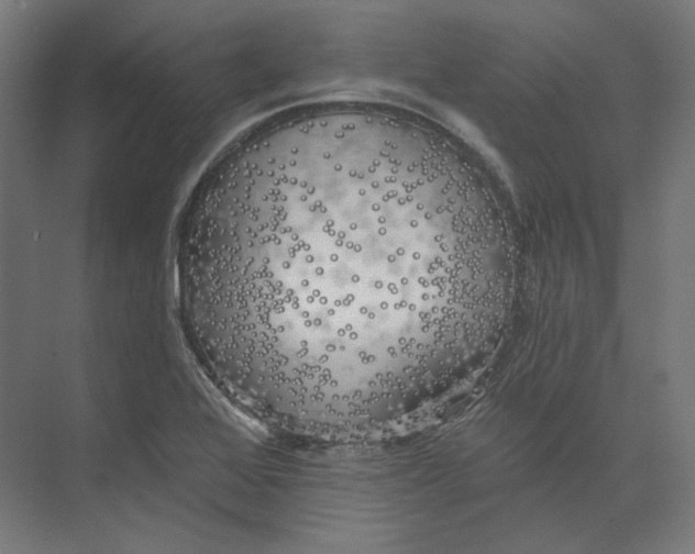 X0000073851368200609071556