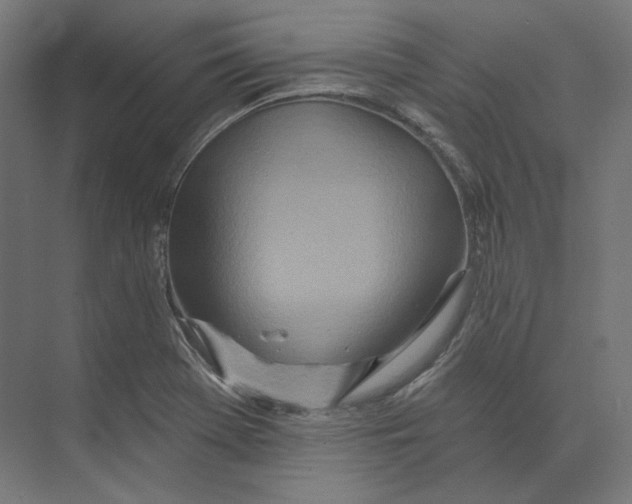 X0000073851369200609071556