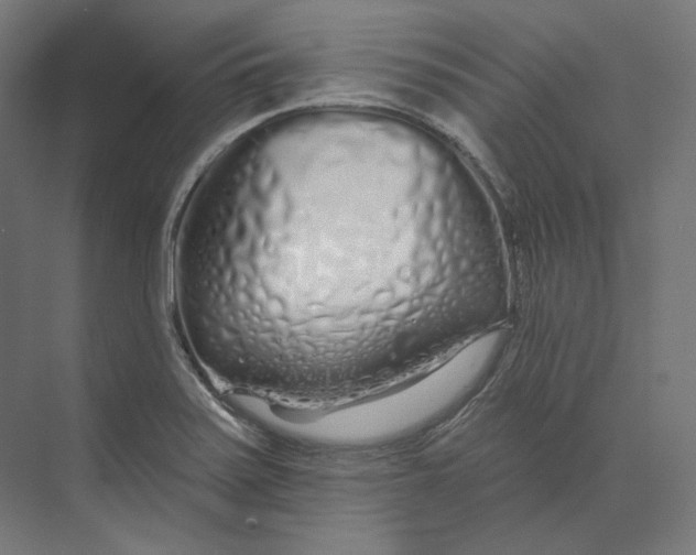 X0000073851371200609071556