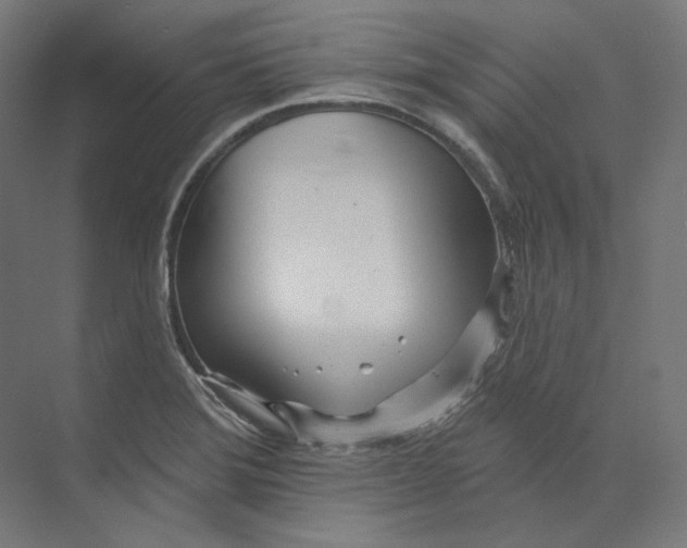 X0000073851372200609071556