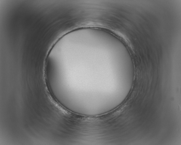 X0000073851374200609071556