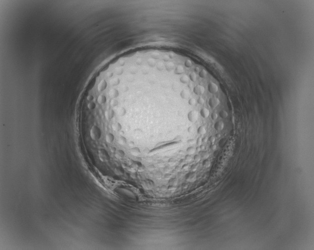 X0000073851375200609071556