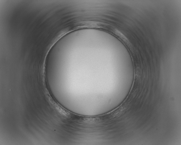 X0000073851378200609071556