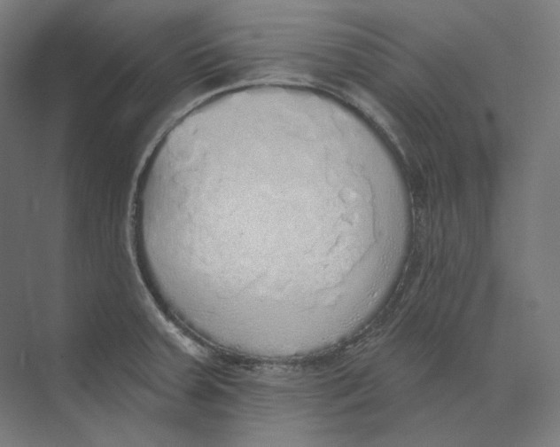 X0000073851379200609071556