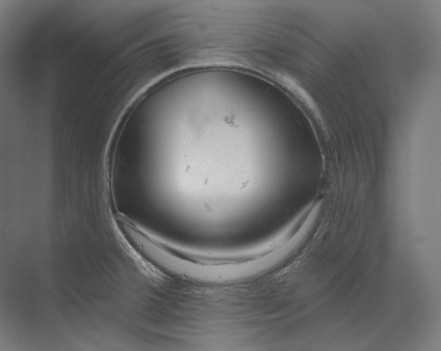 X0000073851380200609071556