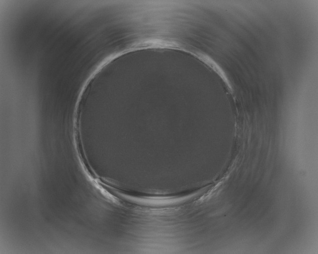 X0000073851381200609071556