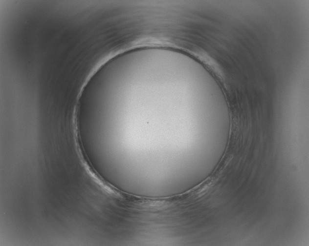 X0000073851382200609071556