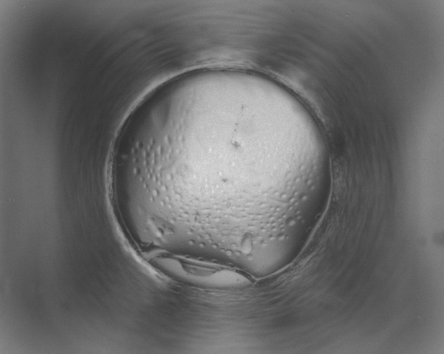 X0000073851383200609071556