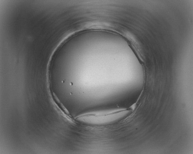 X0000073851384200609071556