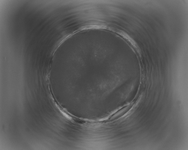 X0000073851385200609071556