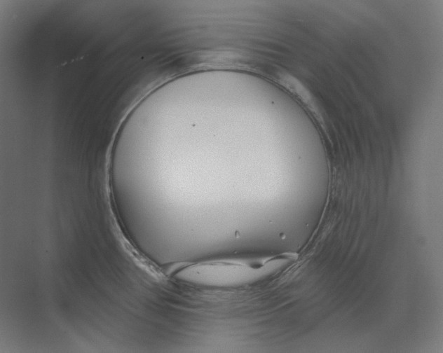 X0000073851386200609071556