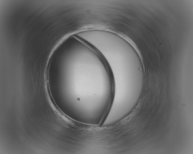 X0000073851389200609071555