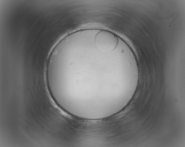 X0000073851390200609071555