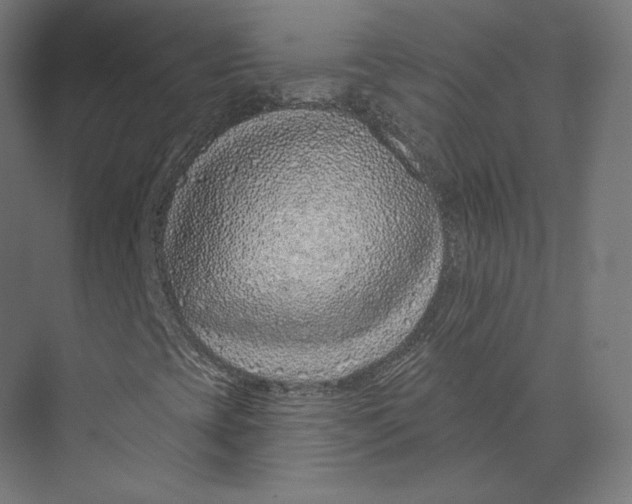 X0000073851393200609071555