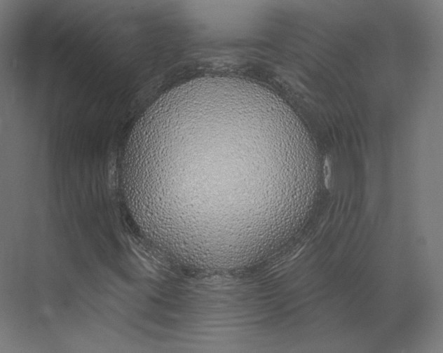 X0000073851395200609071555