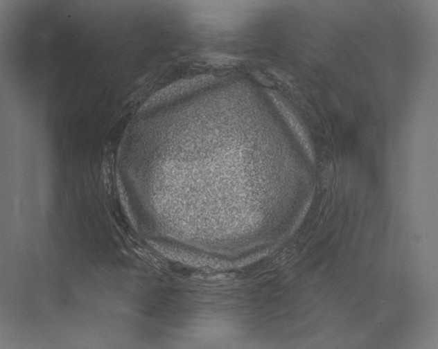 X0000073851397200609071555