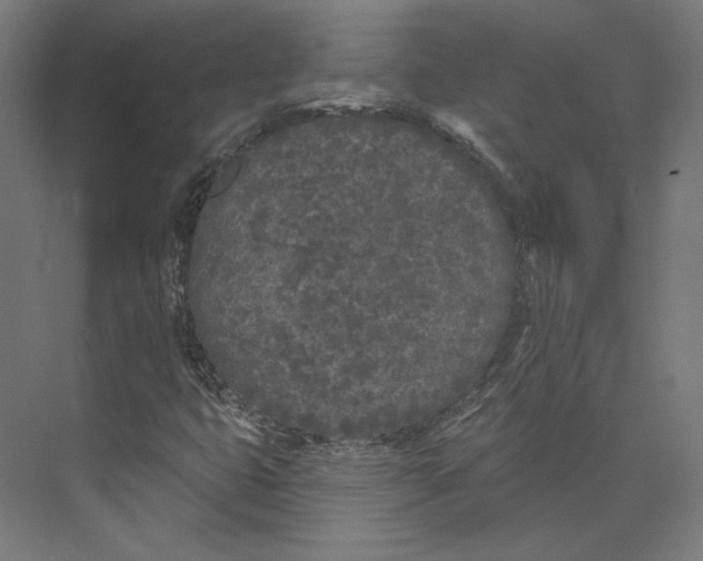 X0000073851399200609071555