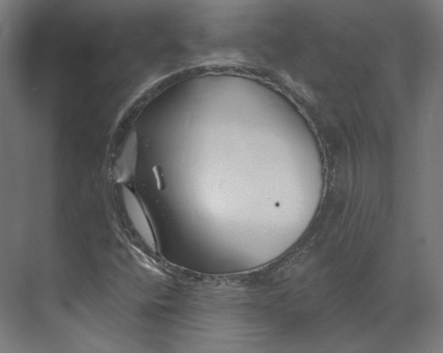 X0000073851400200609071555