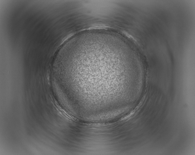 X0000073851401200609071555