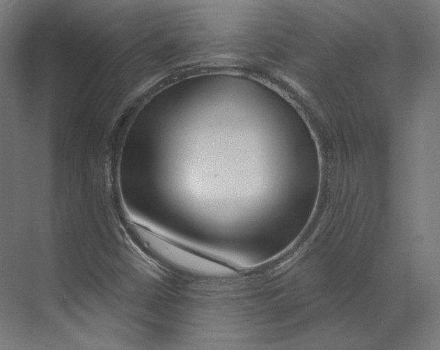 X0000073851402200609071555