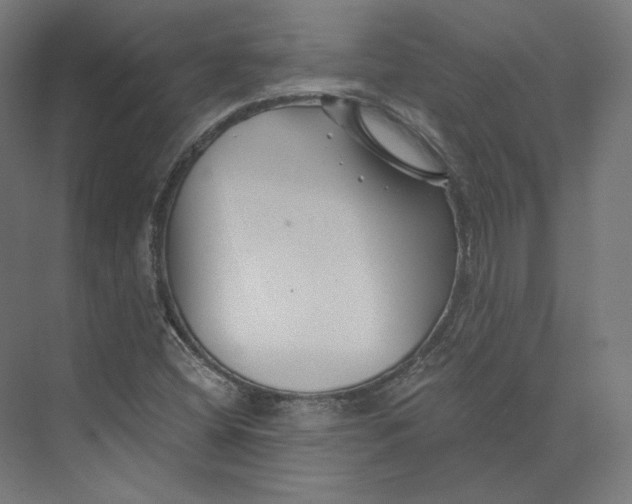 X0000073851404200609071555