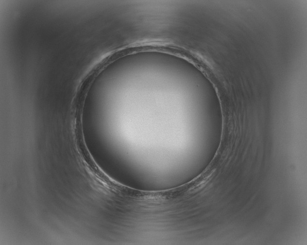 X0000073851406200609071555