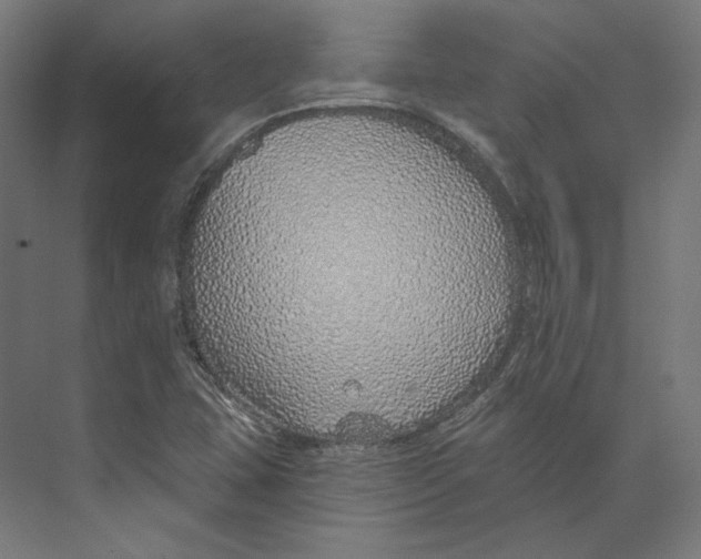 X0000073851407200609071555