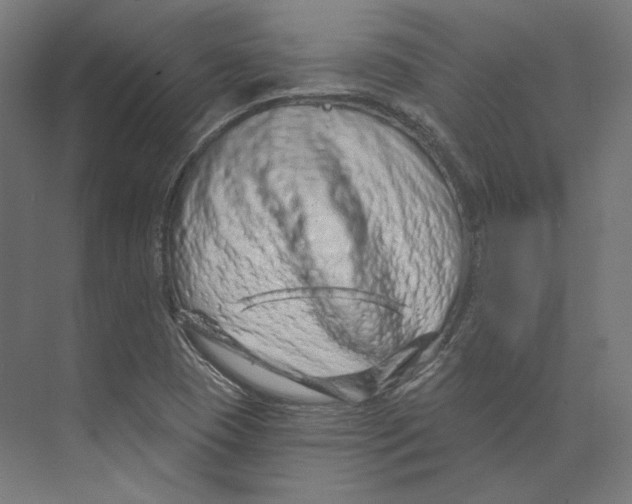 X0000073851409200609071555