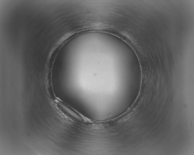 X0000073851410200609071555