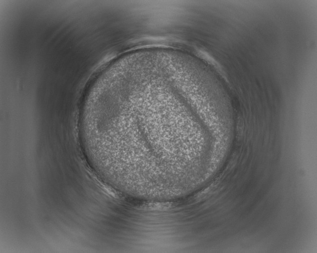 X0000073851411200609071555