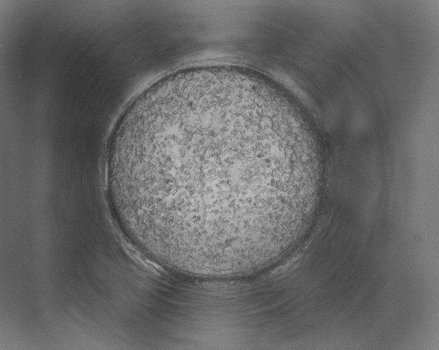 X0000073851413200609071555