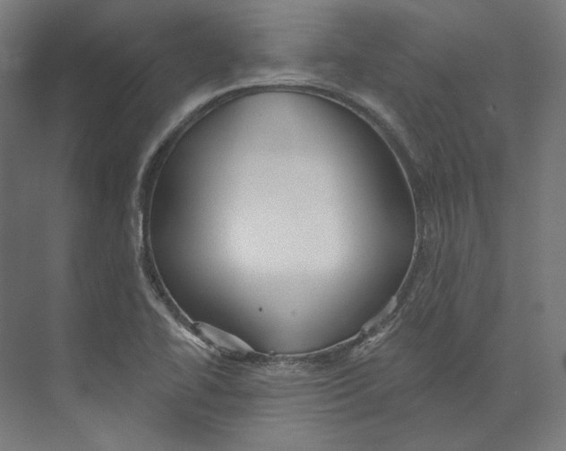 X0000073851414200609071555