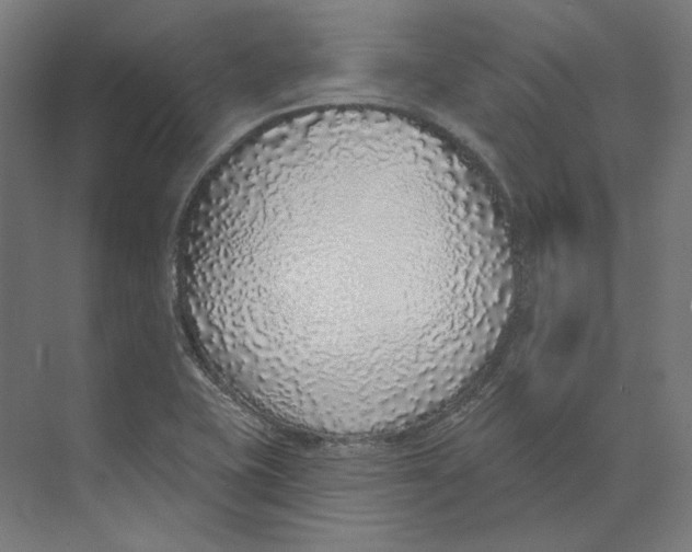 X0000073851415200609071555