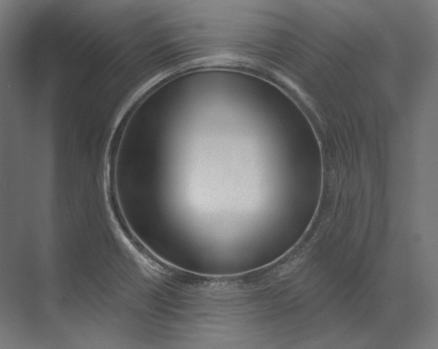 X0000073851418200609071555