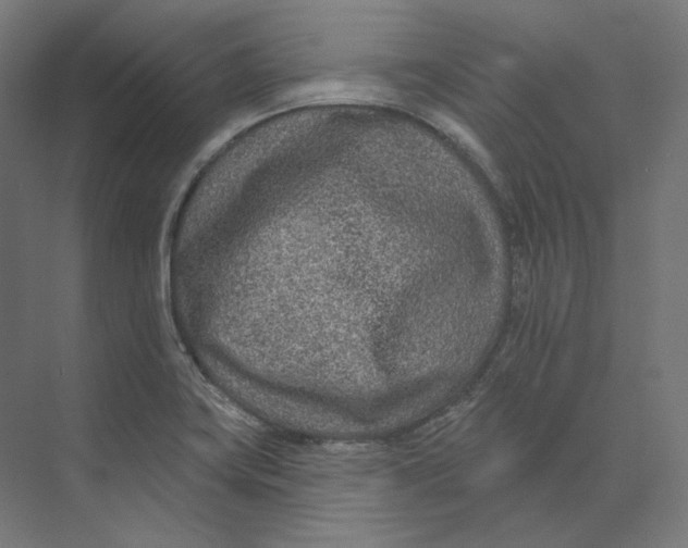 X0000073851419200609071555