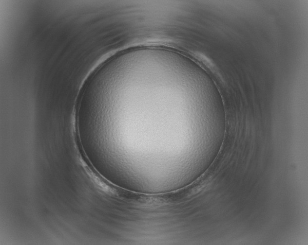 X0000073851420200609071555