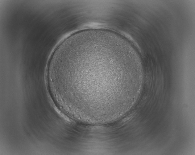 X0000073851421200609071555