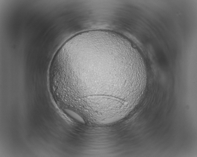 X0000073851423200609071555