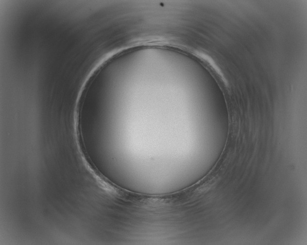 X0000073851424200609071555