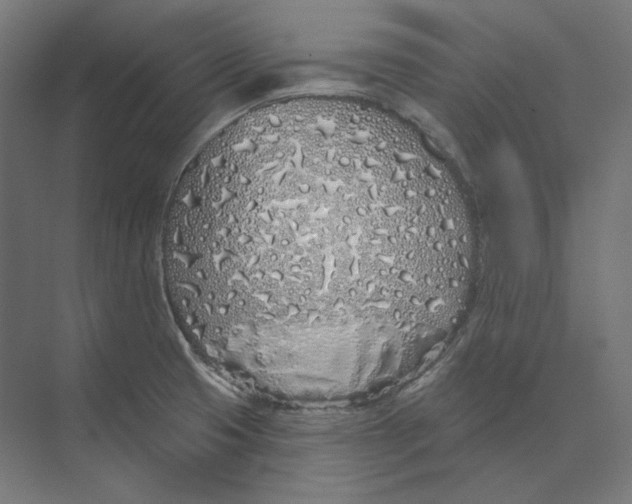 X0000073851425200609071555