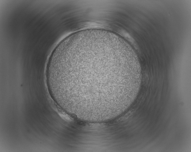 X0000073851427200609071555