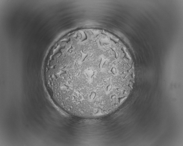 X0000073851429200609071555